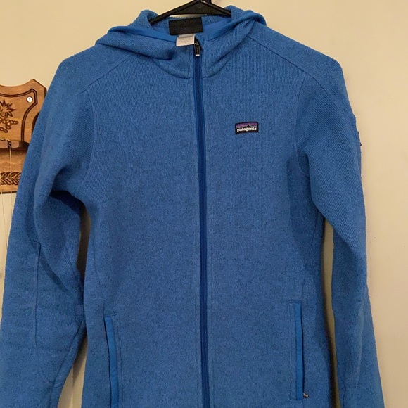 Patagonia Jackets & Blazers - PATAGONIA Better Sweater Hoodie